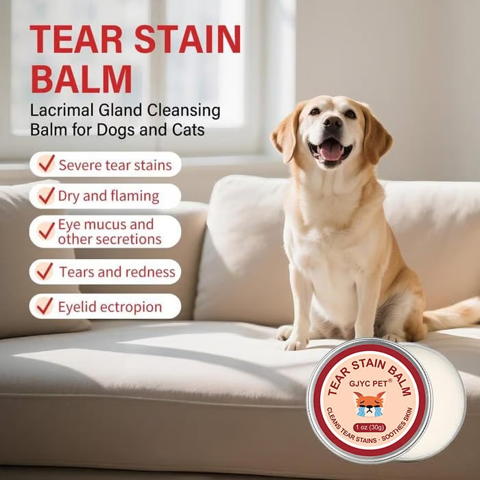 👀✨PET Tear Stain Protection Cream & Brush Set 🐱🐶 for dogs & Cats